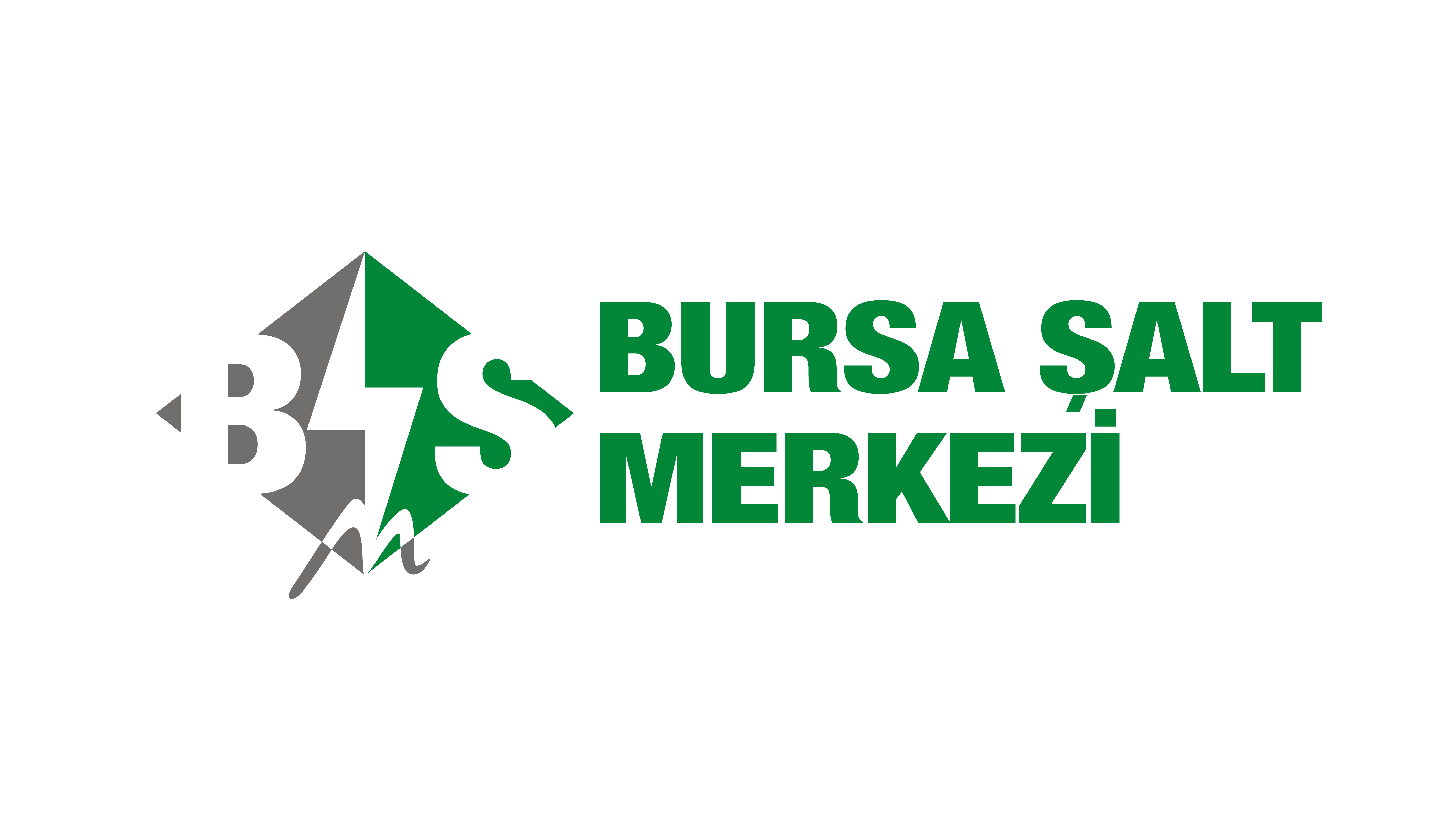 Bursa Şalt Merkezi logosu